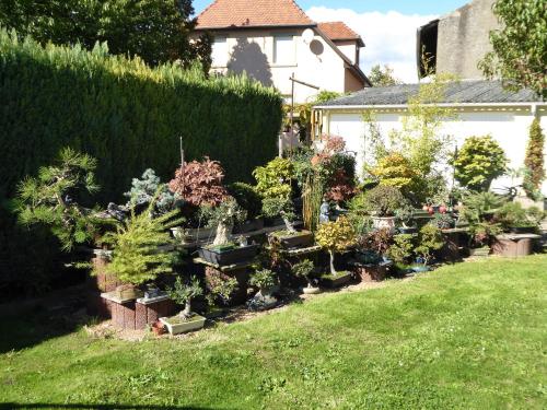 a garden with many pots of plants in a yard at Studio Rouffach in Rouffach