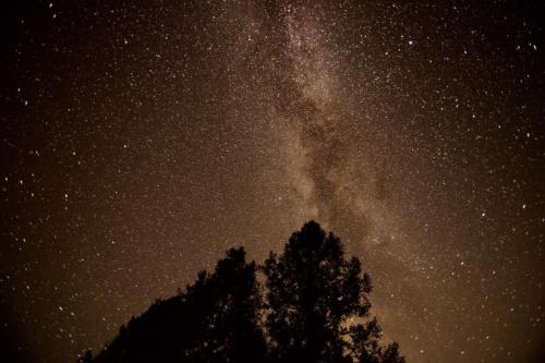 Φωτογραφία από το άλμπουμ του Lakefront Chalet Nevada City σε Nevada City