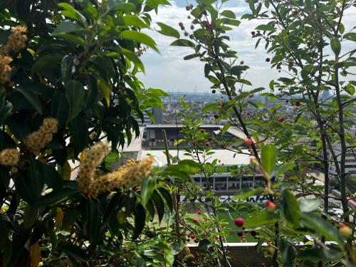 a view of a city from behind some trees at REVERB by Hard Rock Hamburg in Hamburg