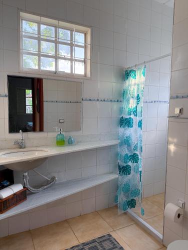 a bathroom with a sink and a shower at Casa da Baleia in Espirito Santo Do Pinhal