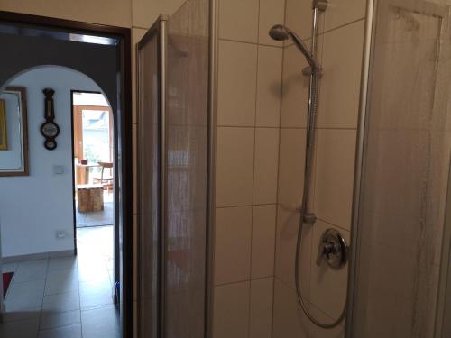 una ducha en un baño con puerta de cristal en Haus Am Waldpark, en St. Georgen im Schwarzwald