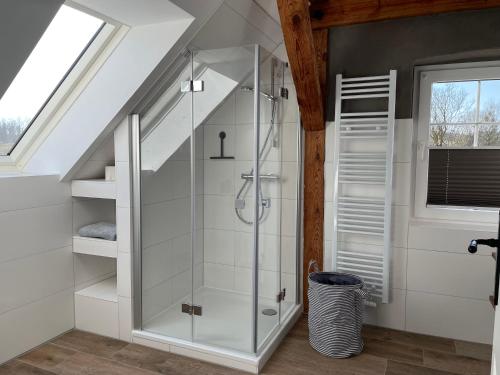 a glass shower in a bathroom with a window at Ferienwohnung am Rathsburgsee in Gramzow
