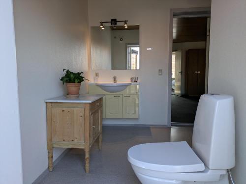 a bathroom with a toilet and a sink and a mirror at Restaurant Backhaus in Ribe