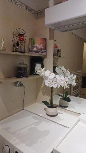 - une cuisine avec 2 fleurs blanches sur un comptoir dans l'établissement Beau appartement avec garage fermé, à Beausoleil