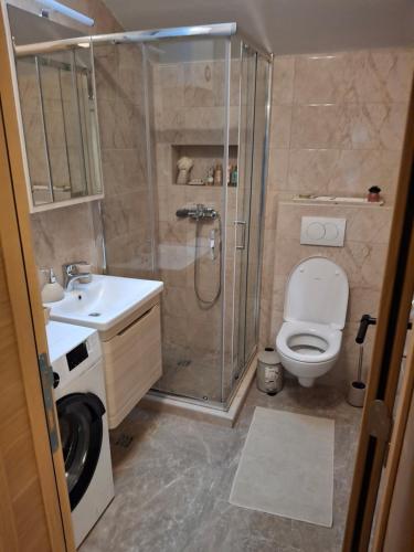 a bathroom with a shower and a toilet and a sink at House 23 B2 in Tivat