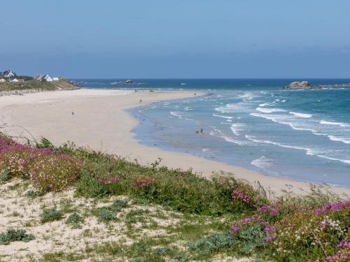 - une plage avec des gens dans l'eau et des fleurs dans l'établissement Chalet Petit Chalet à la Plage by Interhome, à Cléder