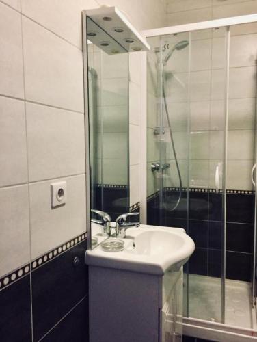 une salle de bain avec un lavabo et une douche dans l'établissement Les Champs d'Auvergne, à Le Mont-Dore