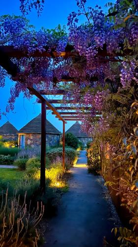 a garden with purple flowers on a pergola at Is Cheas wine farm boutique hotel in San Vero Milis