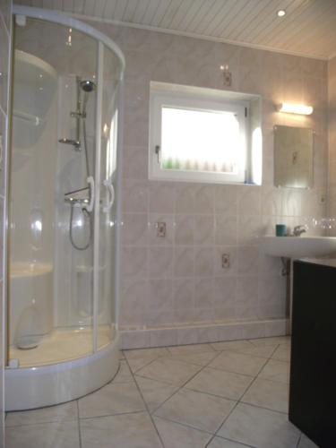 une salle de bain avec douche et lavabo dans l'établissement Gite du pays de la Céramique, à Sessenheim