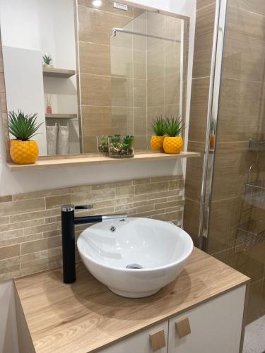 La salle de bains est pourvue d'un lavabo blanc sur un comptoir. dans l'établissement La Maison du Soleil, à Luxeuil-les-Bains