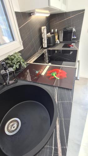 Η κουζίνα ή μικρή κουζίνα στο Charming studio proche Dolce Via