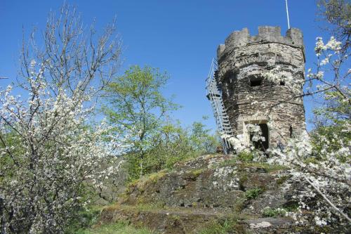 an old stone tower on top of a hill at Haus Alleegarten in Bad Bertrich