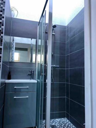 une salle de bain avec une douche en verre et un lavabo dans l'établissement Charmant petit duplex, à Montpellier