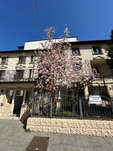 a tree with pink flowers in front of a building at Hotel Boutique Cathedral Plaza Residences room for rent downtown in Bucharest