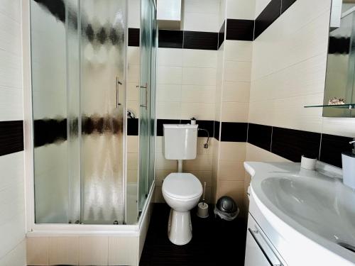 a bathroom with a toilet and a shower and a sink at apartman MLIN 4 in Lun