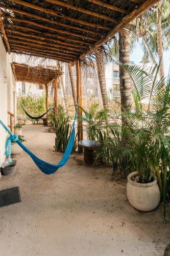 a hammock in a room with palm trees and plants at Hotel Boutique Can Cocal El Cuyo in El Cuyo