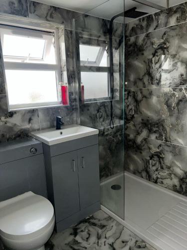 a bathroom with a toilet and a sink and a shower at Modern Studio Flat In A Guest House In Basildon in Basildon