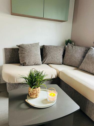 un salon avec un canapé et une table avec une plante dans l'établissement Mobilhome la Carabasse 40m2 6-8 personnes, à Vias