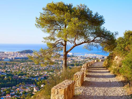 a tree on a hill with a pathway at Holiday Home Lola by Interhome in Orba