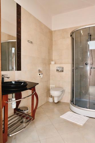 a bathroom with a shower and a sink and a toilet at Hotel Paola in Kraczkowa
