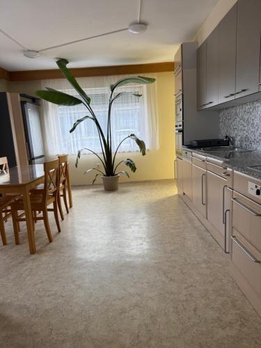 a kitchen with a table and a potted plant at Apartment Natali in Schnaittenbach