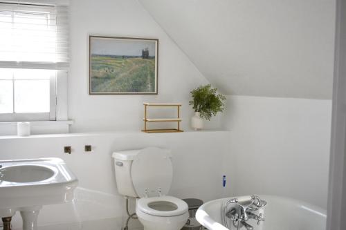 a white bathroom with a toilet and a sink at Historic Manor Overlooking Park in Bloomington