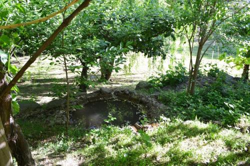 a hole in the ground in a field with trees at Punta Horizonte Cabin in San José de Maipo