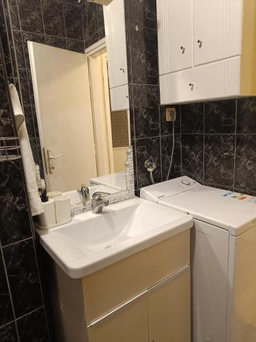 a bathroom with a sink and a washing machine at Apartman Panonia in Slavonski Brod