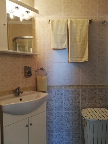 a bathroom with a sink and a mirror at DEA Pasavan Apartments in Ravda