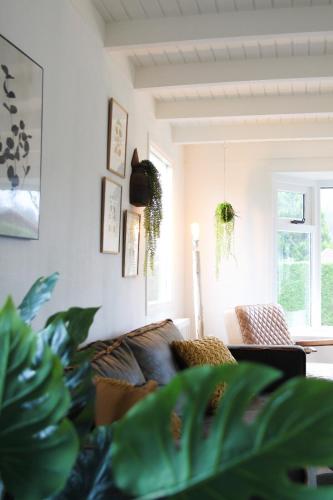a living room with a couch and some plants at Cozy cottage in the heart of the Veluwe in Putten