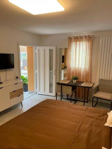 a bedroom with a bed and a desk and a television at Appartamento Nany in Monte Ceneri