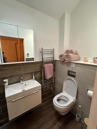a bathroom with a toilet and a sink and a mirror at Lower Carhullan in Penrith
