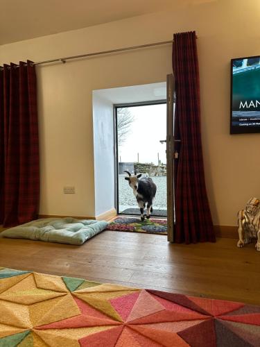 a goat standing in a room with an open door at Lower Carhullan in Penrith