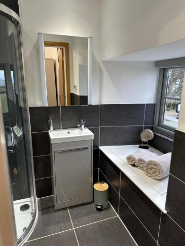 a bathroom with a sink and a shower and a mirror at Lower Carhullan in Penrith