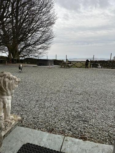 a statue of a lion standing in a parking lot at Lower Carhullan in Penrith