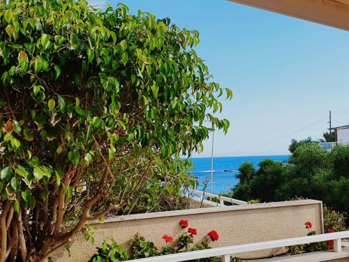 Entrecalas Cabo de Palos