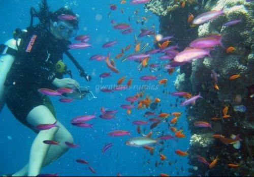 Tetamu yang menginap di Entrecalas Cabo de Palos