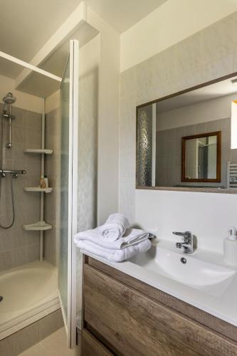 une salle de bain avec un lavabo, une douche et un miroir dans l'établissement Gîte Chez Lilly, à Frayssinet-le-Gélat