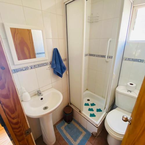 Ένα μπάνιο στο Cabañas Lamoni, con bajada al río