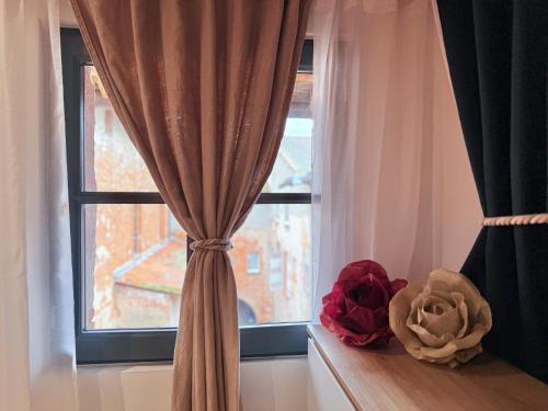 a window with a curtain and two roses on a window sill at Le Loft Paradise in Montauban