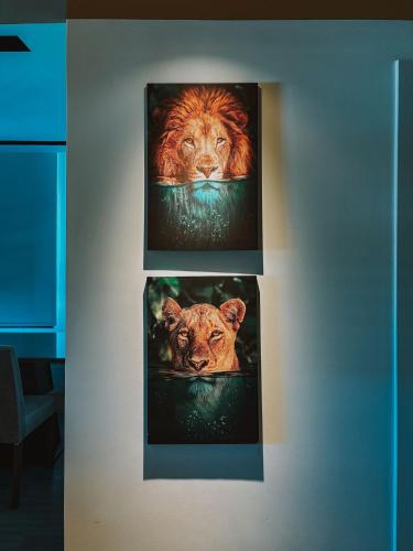 two paintings of a lion and a tiger on a wall at GO Rio Branco by LikeHome in Porto Alegre