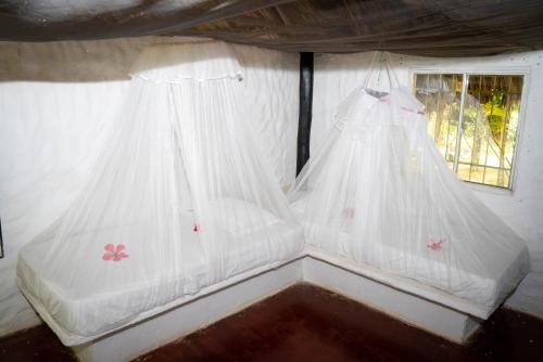 a room with two mosquito nets and two windows at Taironaka Eco Hotel in Don Diego