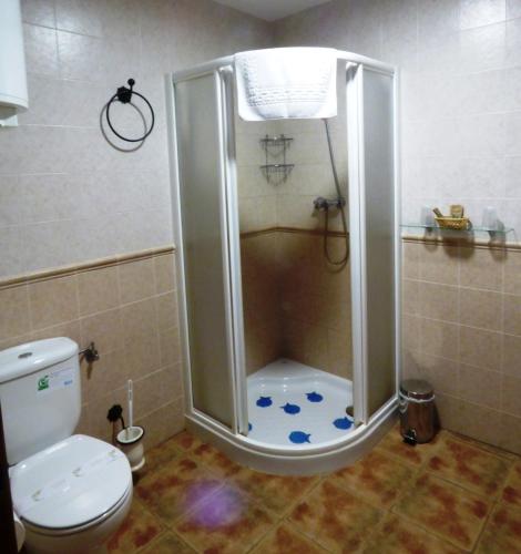 a shower in a bathroom with a toilet at Casa Rural Al-Mofrag y Apartamentos El Mirador de Monfragüe in Villarreal de San Carlos