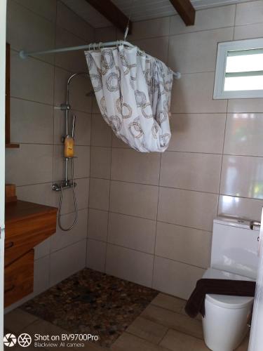 a bathroom with a shower curtain and a toilet at Wakerasuites in Les Abymes