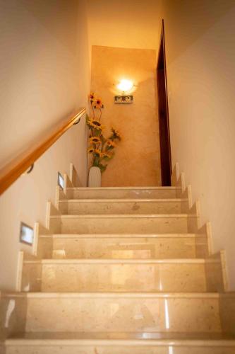 a stairway with a plant in a vase at Sunshine Apartments in Trappeto
