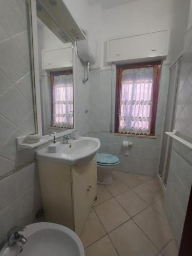 a bathroom with a sink and a toilet and a mirror at Appartamenti Le Brocche di Biancospino in LʼAmericano