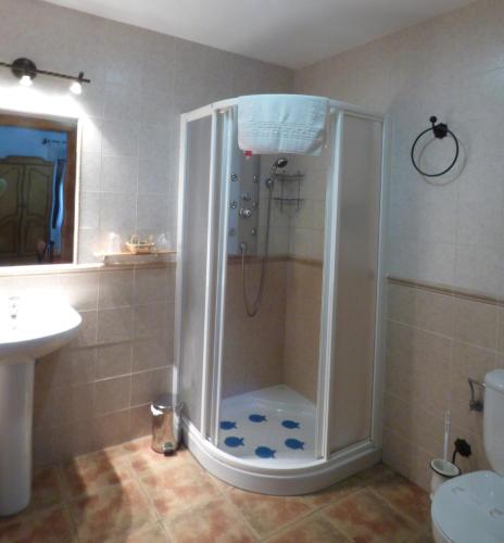 a shower in a bathroom with a toilet and a sink at Casa Rural Al-Mofrag y Apartamentos El Mirador de Monfragüe in Villarreal de San Carlos