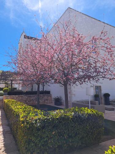 two trees with pink flowers in front of a building at Relais Il Santissimo in Turi