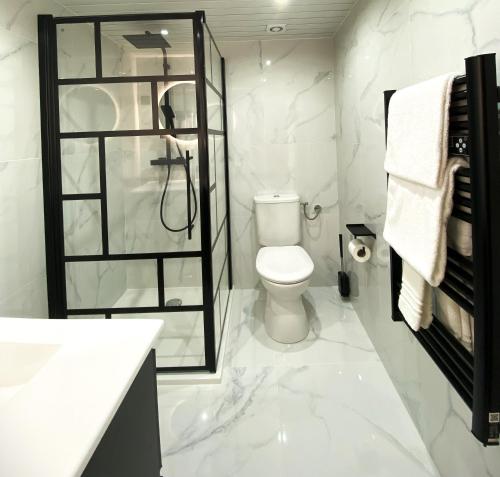 a white bathroom with a shower and a toilet at Appart Mezzanine, Centre-ville in Istres
