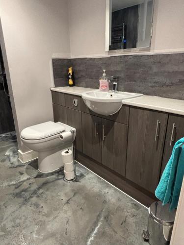 a bathroom with a toilet and a sink at The Drey in Poole
